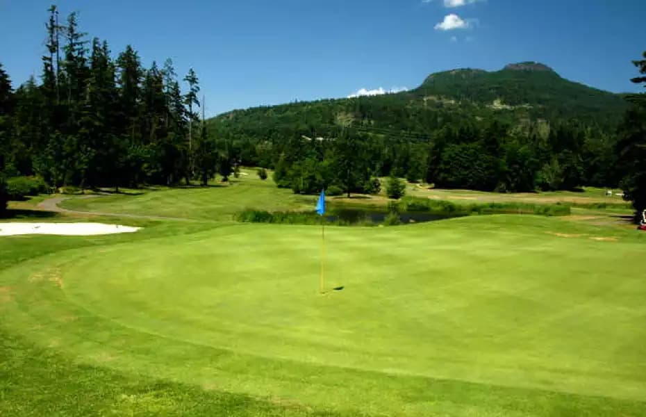 Duncan Meadows Golf Club — photo 3