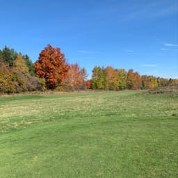 Course Image 2