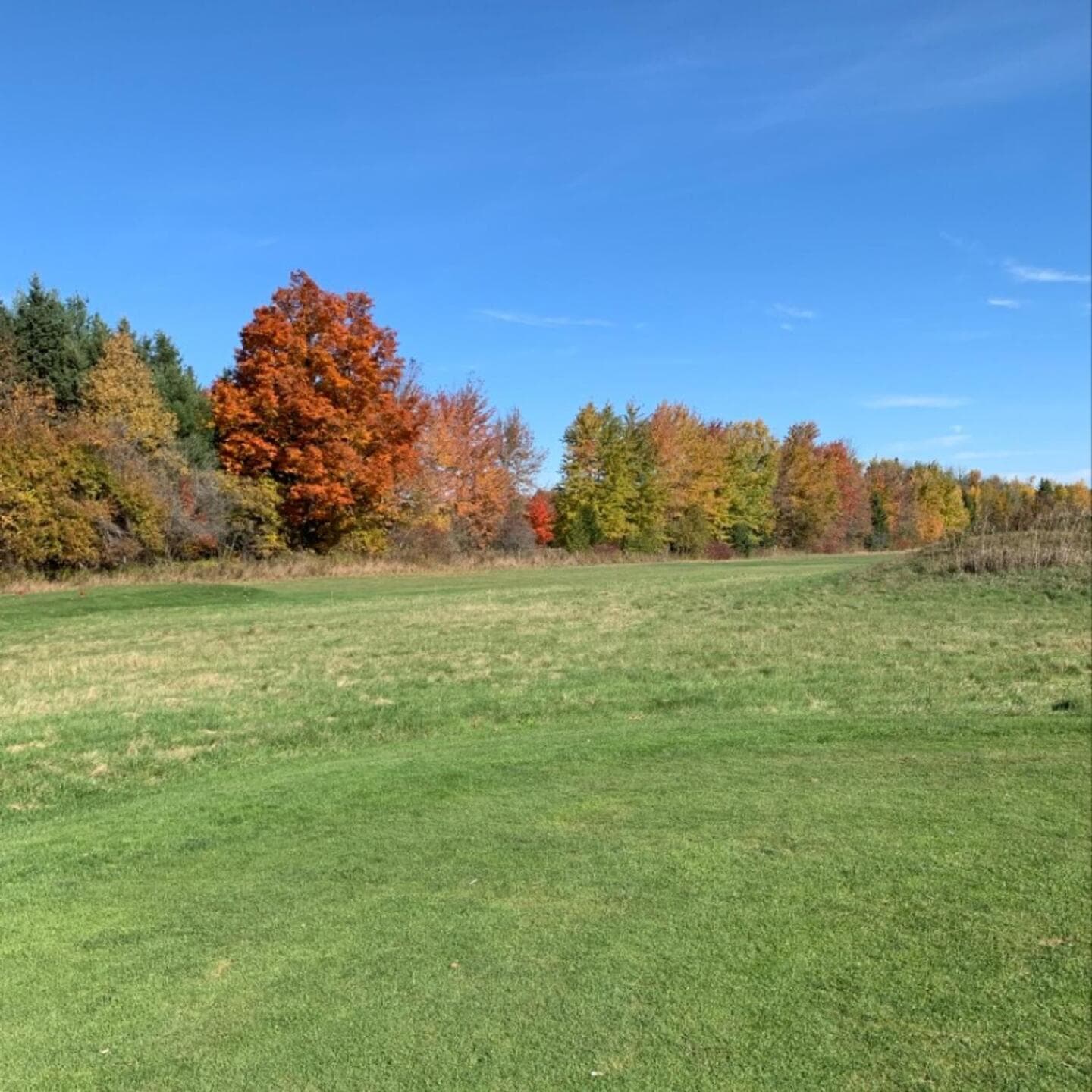 Fergus Golf Club(East/West) — photo 2