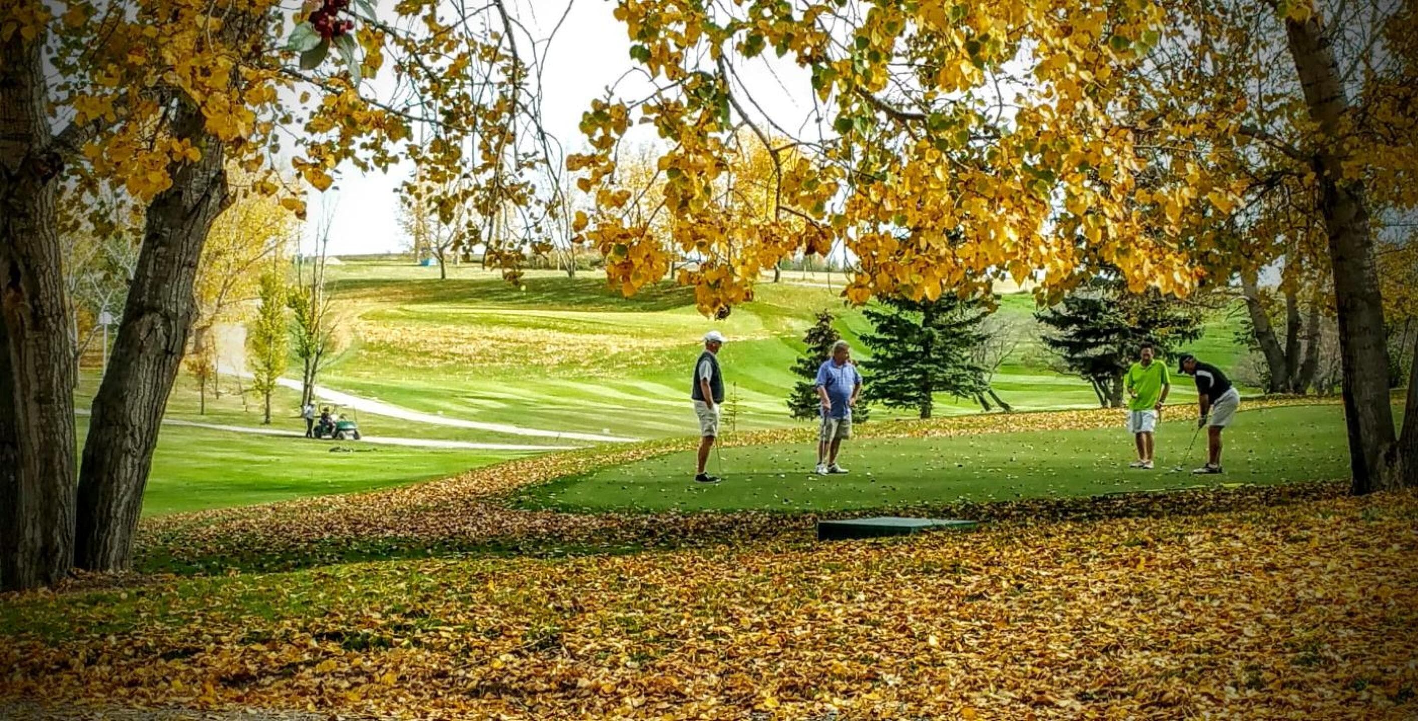 Flowing Springs Golf Greens — photo 3
