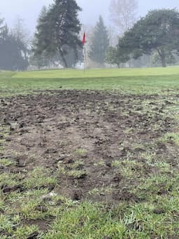 Course Image 1