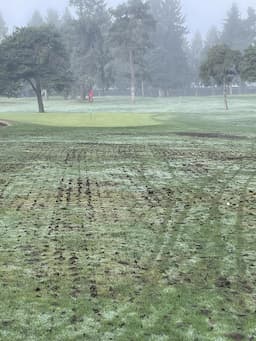 Course Image 3