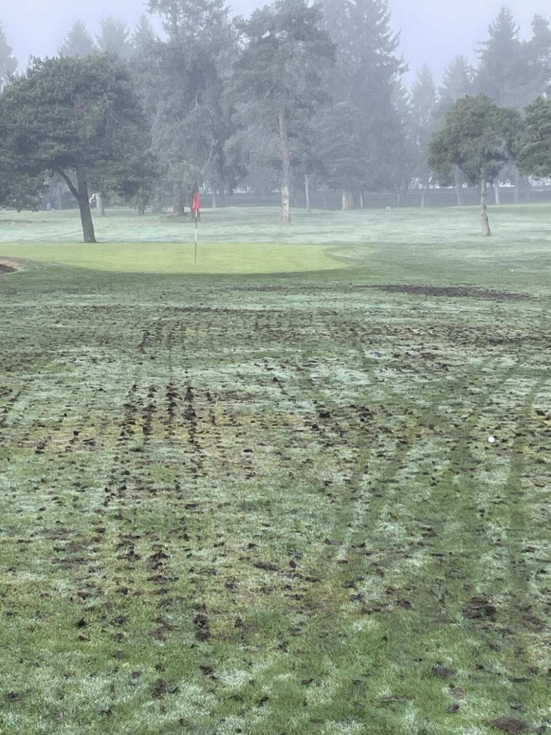 Fort Langley Golf Course — photo 3