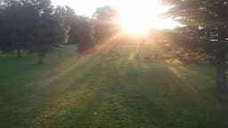 Course Image 2