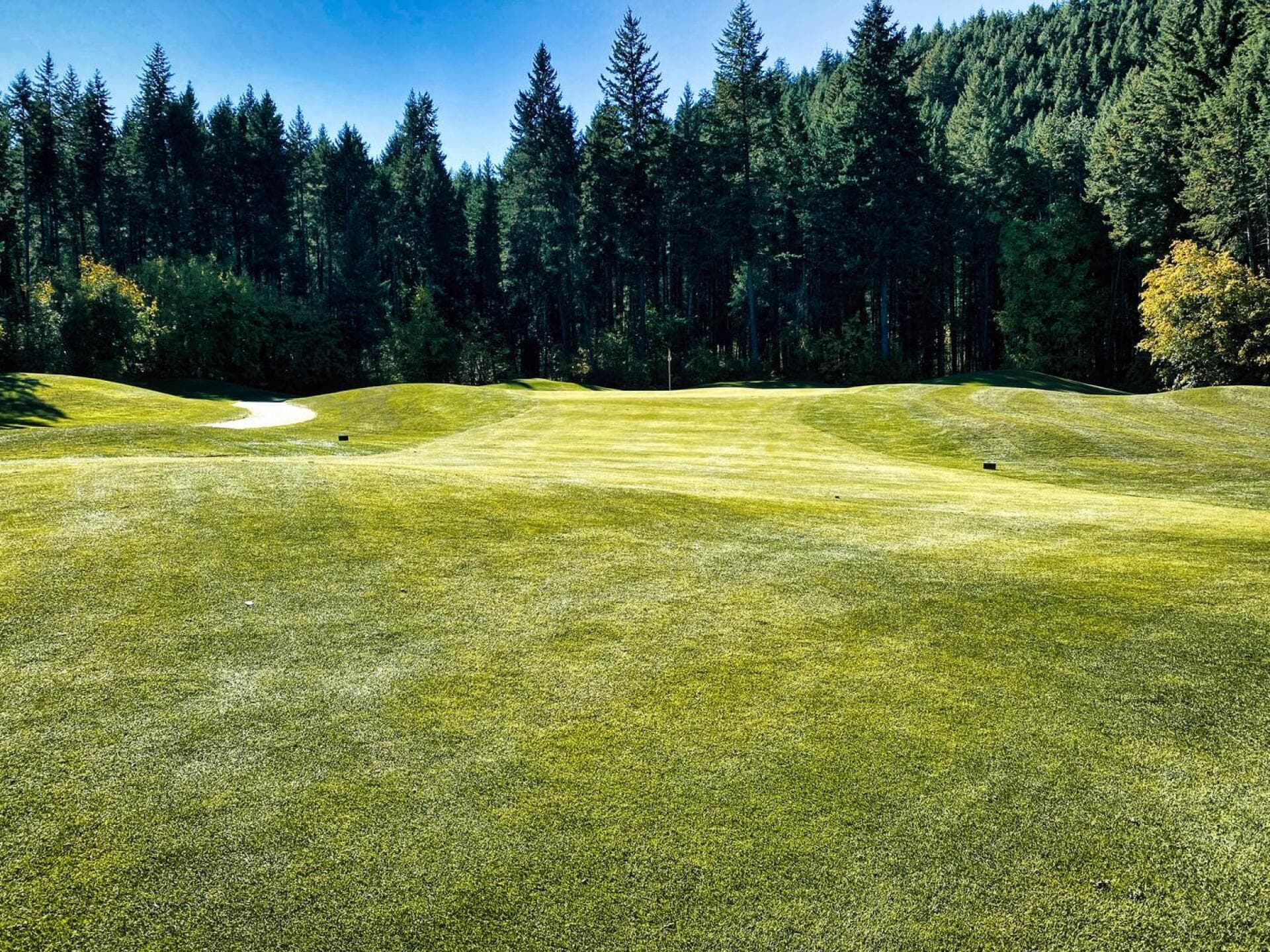 Golden Golf Club — photo 2