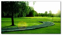 Course Image 2