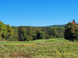 Course Image 1