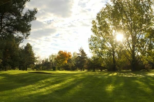 Madawaska Golf - Twisted Pines — photo 2
