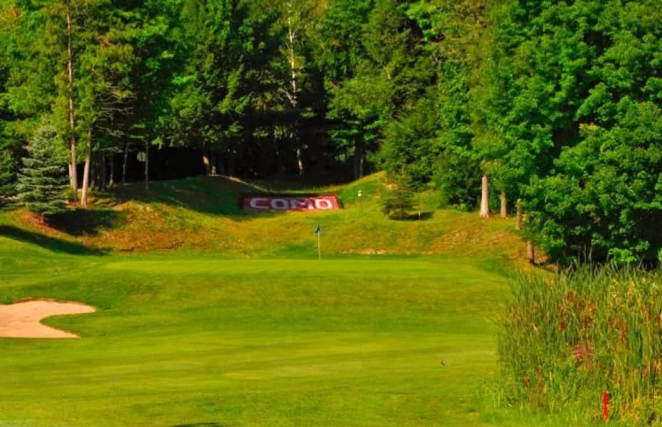 Club de Golf de Plessisville et Golf des Bois-Francs — photo 2