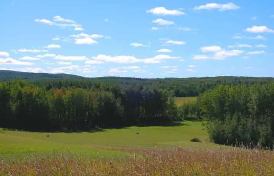 Green Hills Golf Resort — photo 2