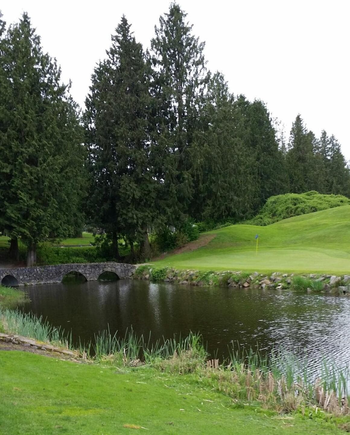 Guildford Golf & Country Club — photo 3