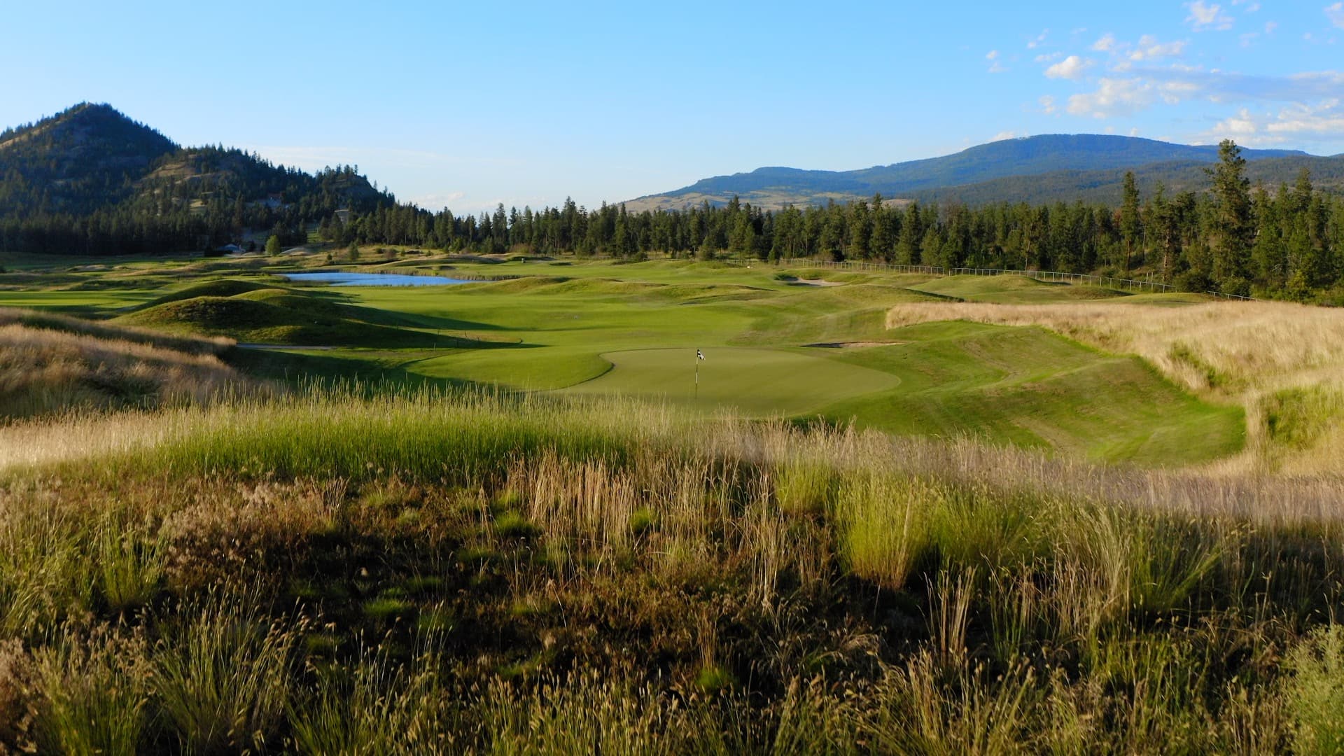 The Okanagan Golf Club - Quail Course — photo 4