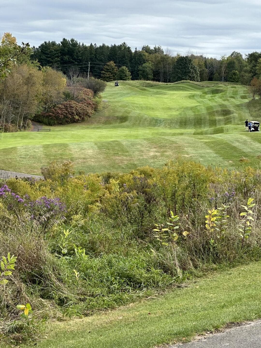 Hockley Valley Resort — photo 3