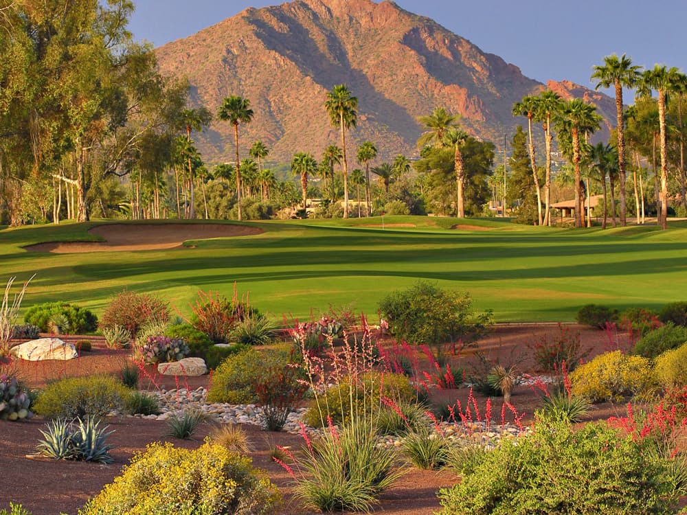 McCormick Ranch Golf Club – Pine Course — photo 4