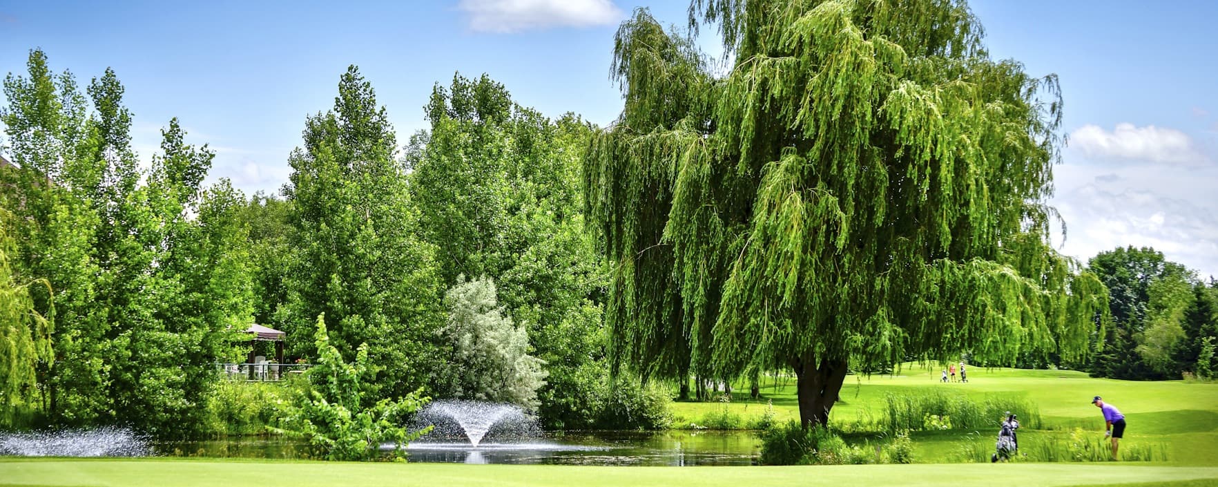 Le club de golf Le Parcours du Cerf (Le Faon) — photo 3