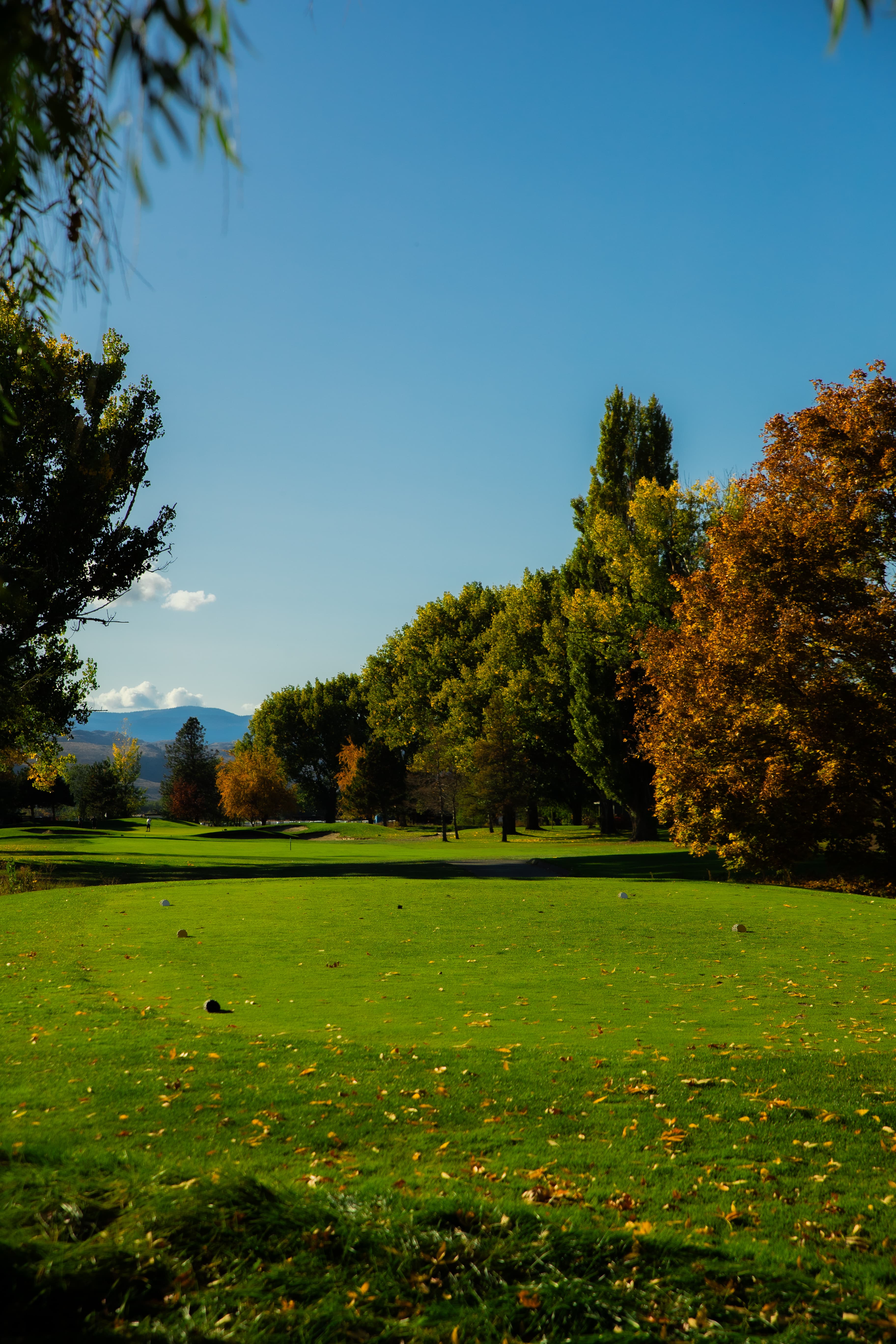 Kamloops Golf & Country Club — photo 5