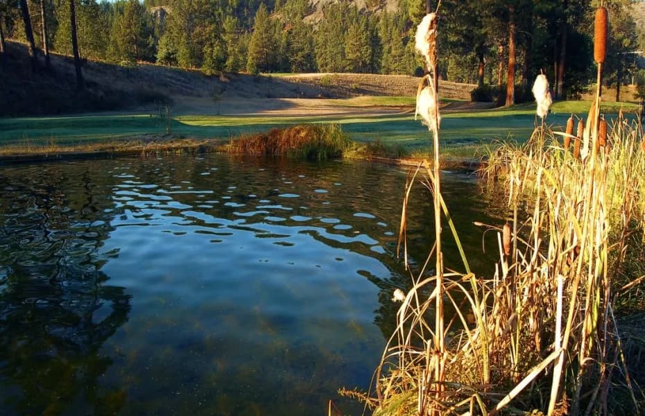 Kettle Valley Golf Club — photo 2
