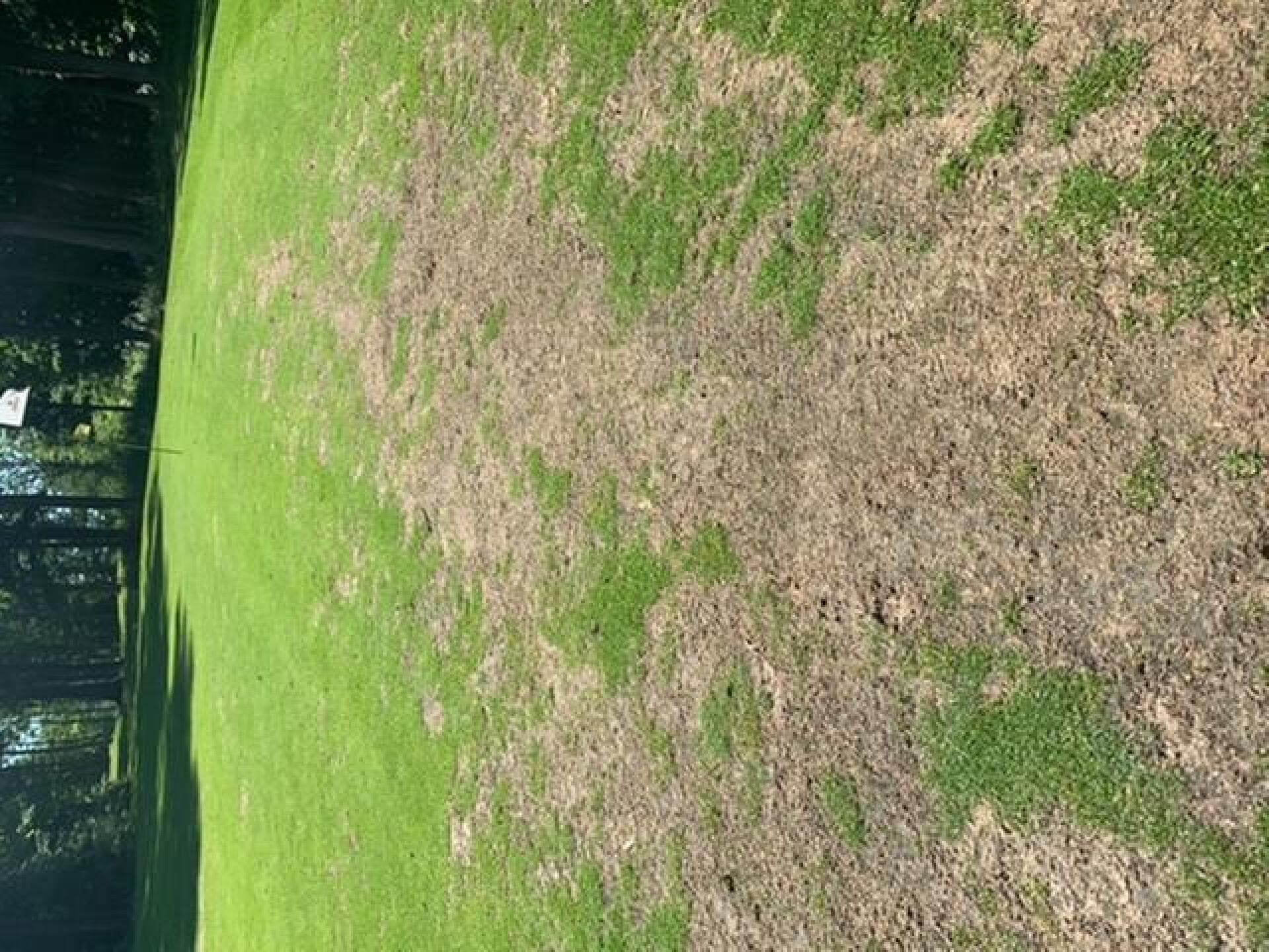 Knollwood Golf Club - Old Course — photo 2