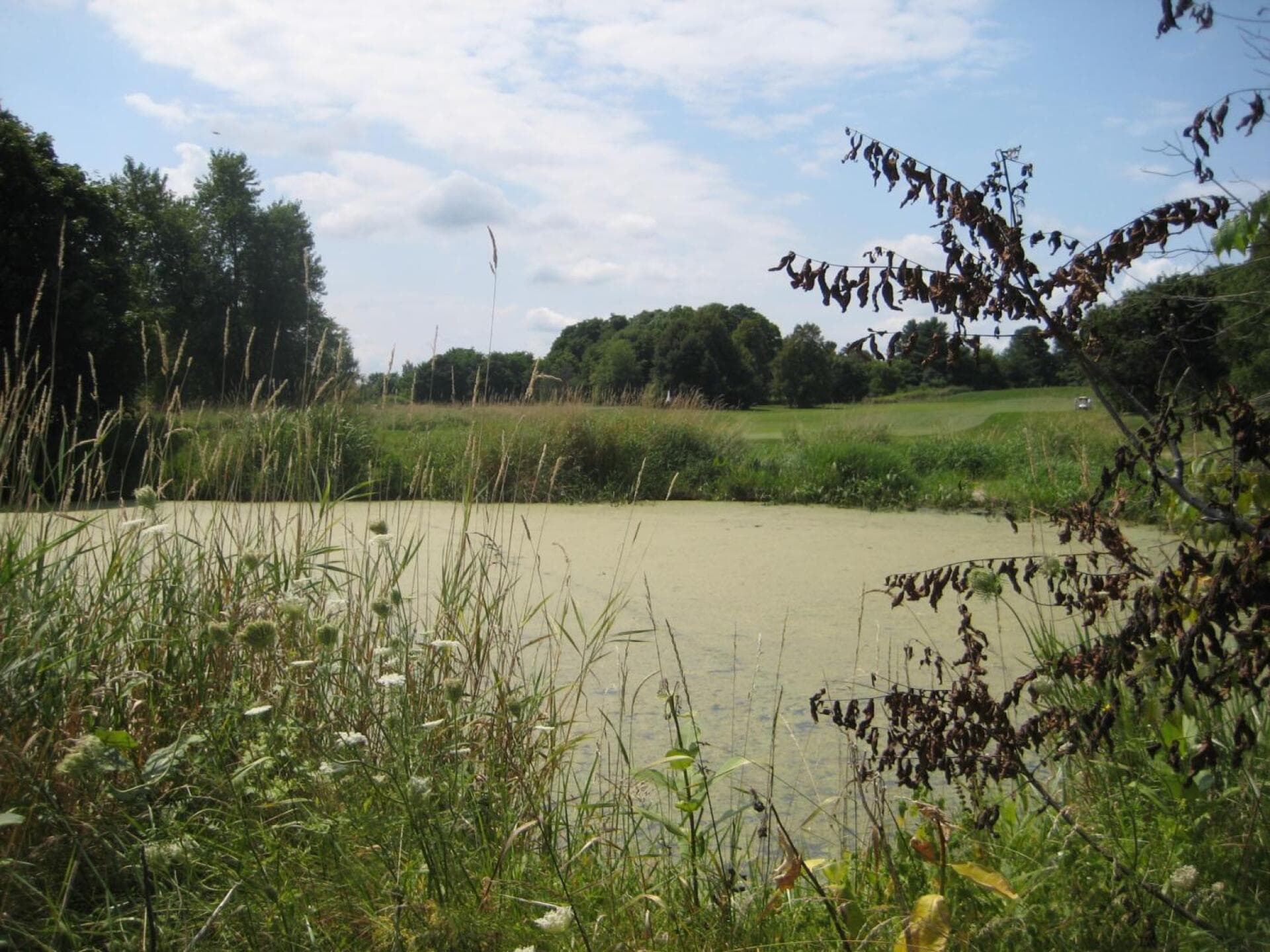 Knollwood Golf Club - Old Course — photo 3
