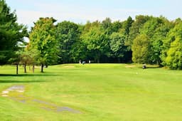Course Image 4
