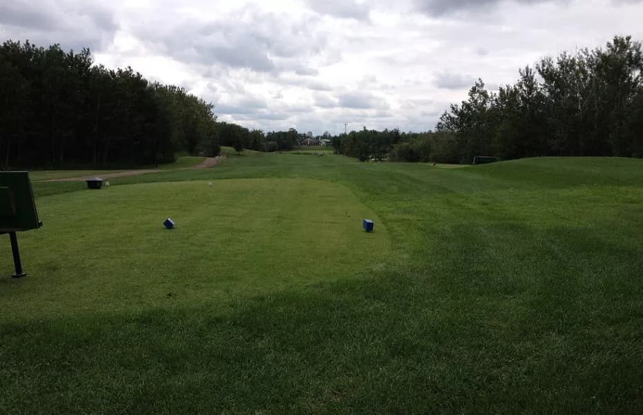 Lashburn Town & Country Club — photo 3