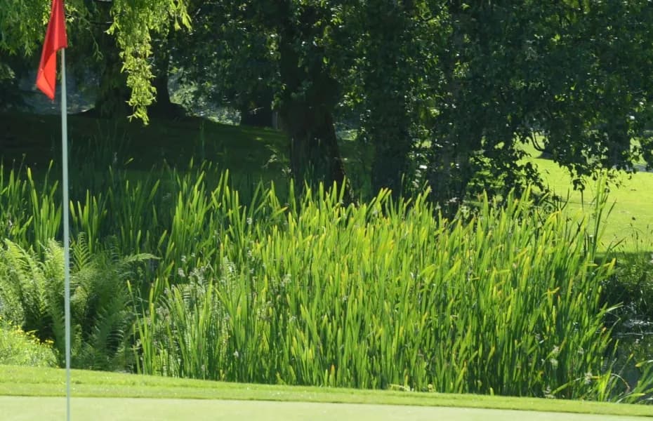 Ledgeview Golf & Country Club — photo 2