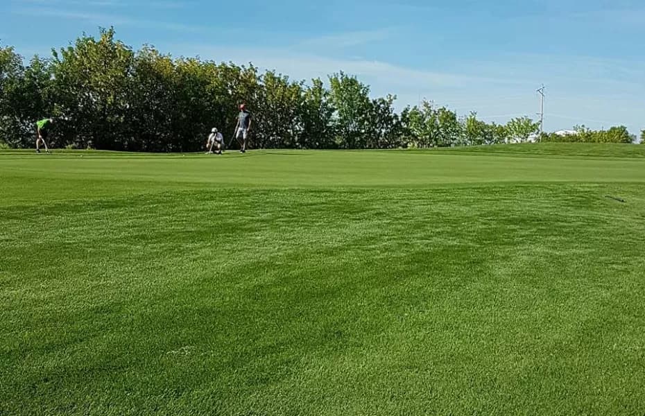 Meadow Lake Golf Club — photo 2
