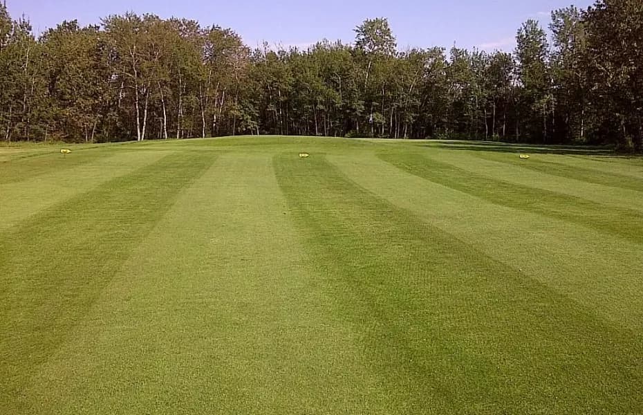 Mervin & District Golf Club — photo 2