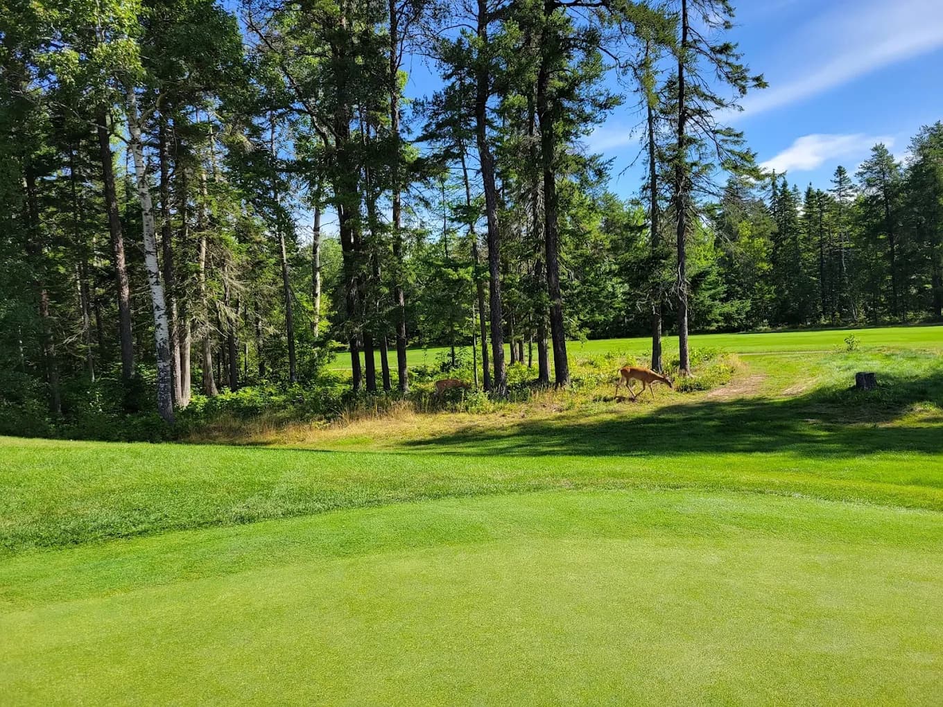 Moncton Golf  Club — photo 2