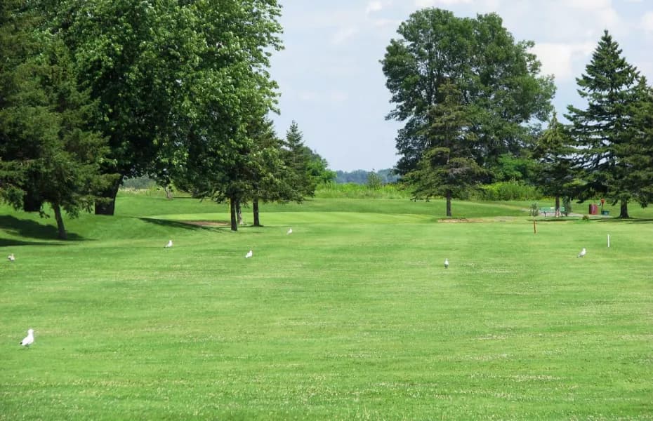 Morrisburg Golf Club — photo 3