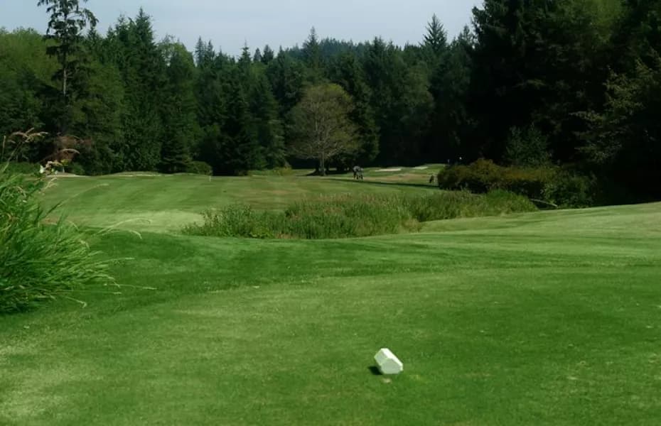 Myrtle Point Golf Club — photo 2