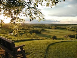 Course Image 1