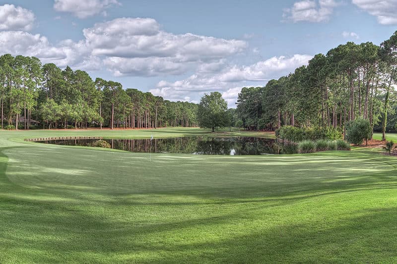 Newlands Golf Club — photo 2