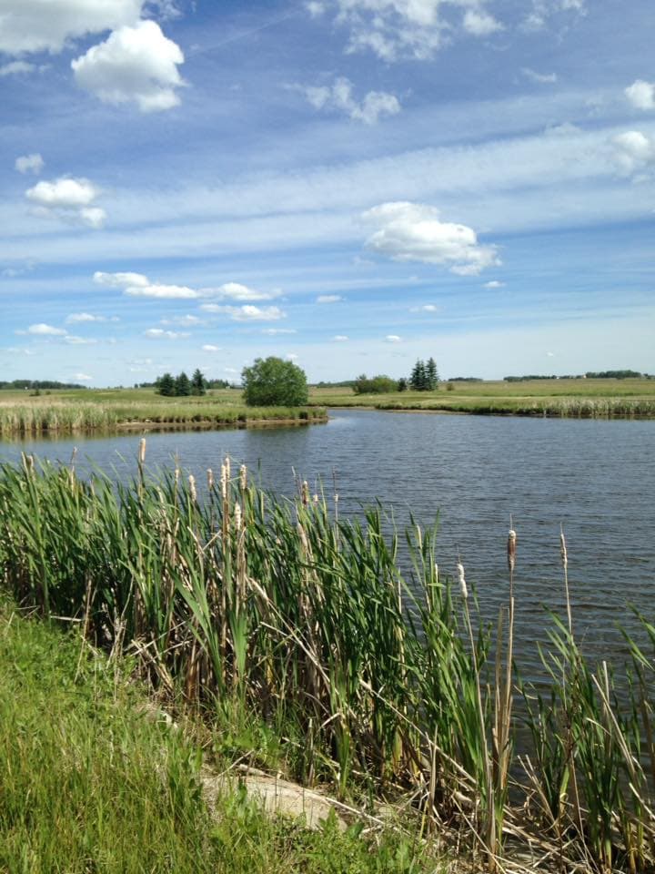Oxbow Country Golf Course — photo 3