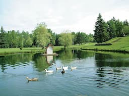 Course Image 3