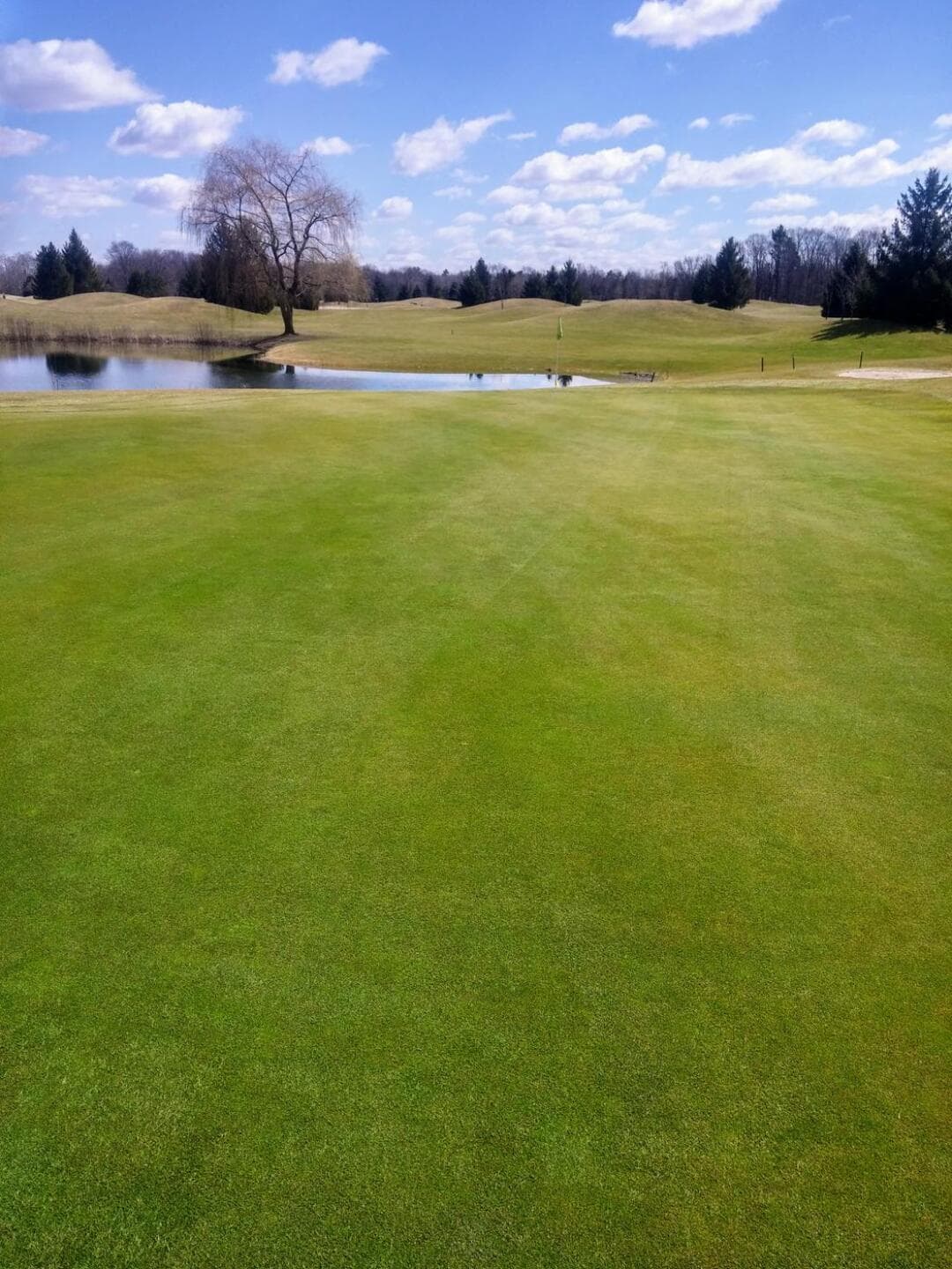 Pine Knot Golf & Country Club — photo 3