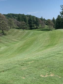Course Image 2