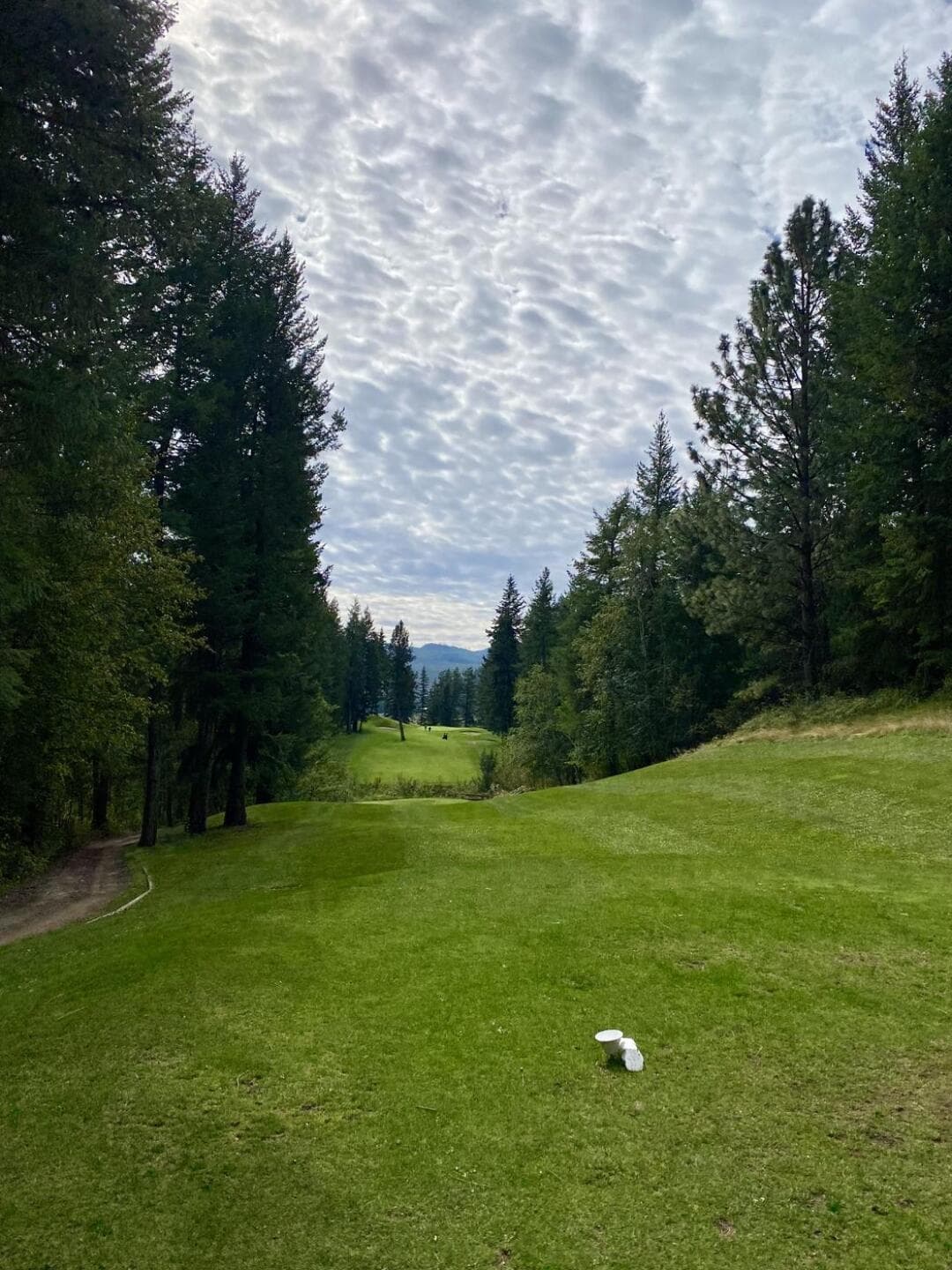 Point Grey Golf & Country Club — photo 3
