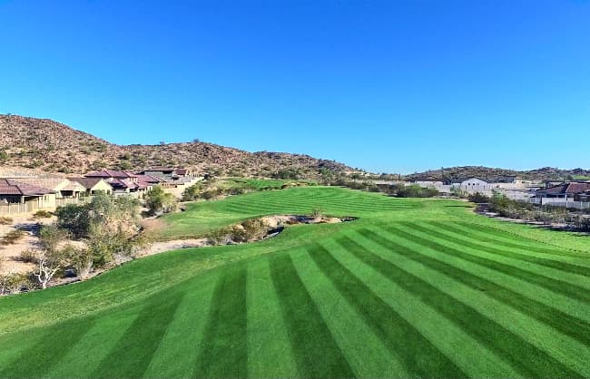 Golf Club of Estrella — photo 3