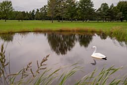 Course Image 3