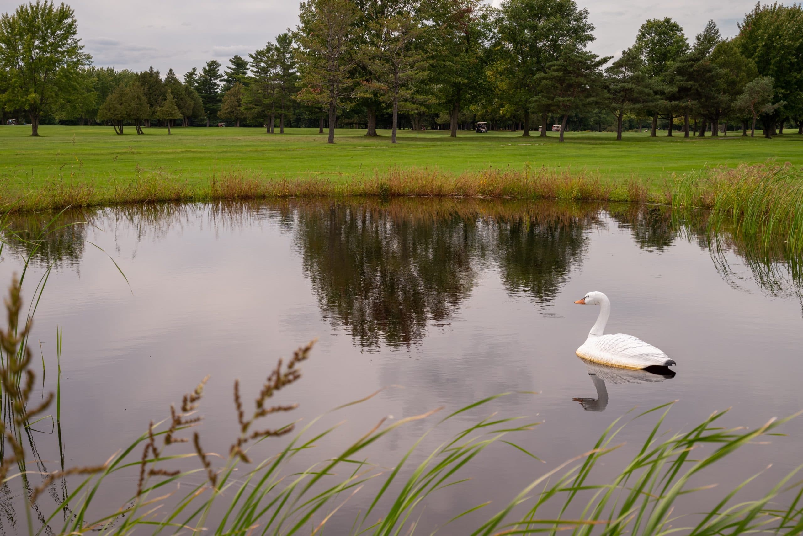 Golf du Lac Champlain — photo 3