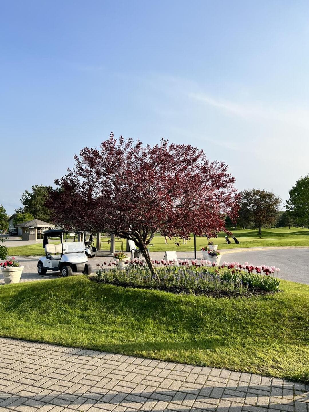 Richmond Hill Golf Club — photo 3