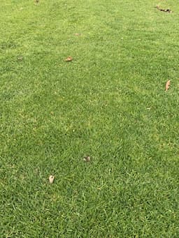 Course Image 1