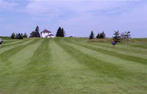 Rollo Bay Greens — photo 2