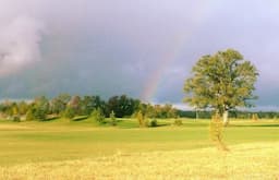 Course Image 3