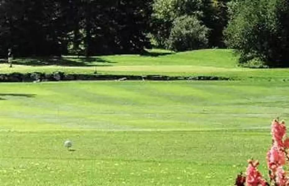 Shaganappi Point Golf Course — photo 2