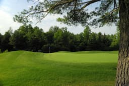 Course Image 3