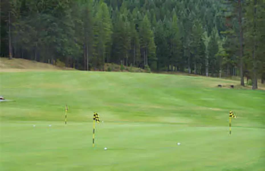 Sparwood Golf Club — photo 2