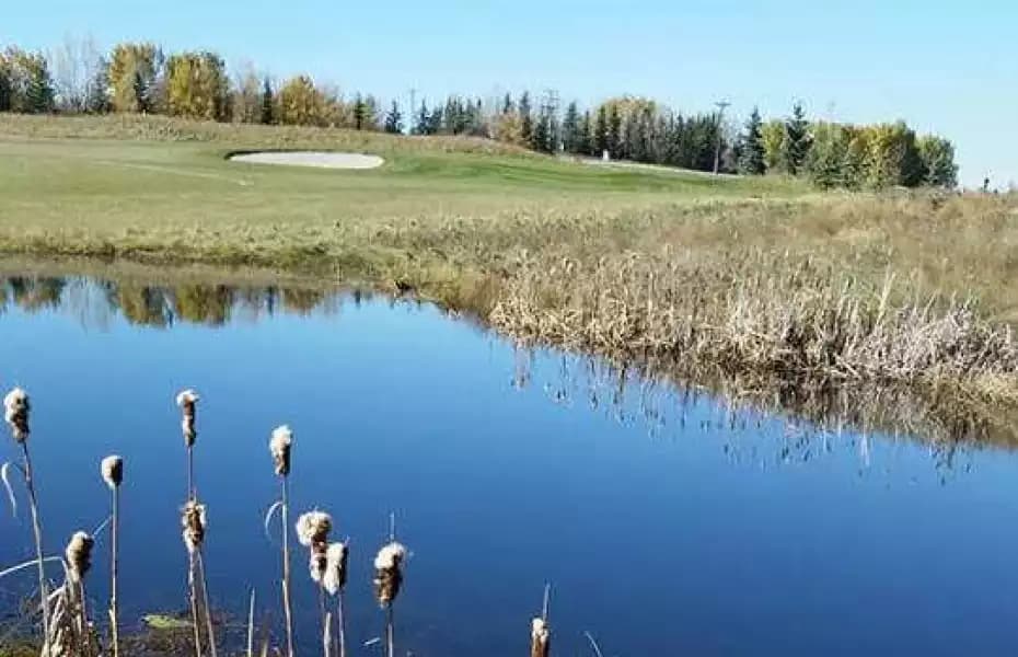 Springbank Links Golf Course — photo 3