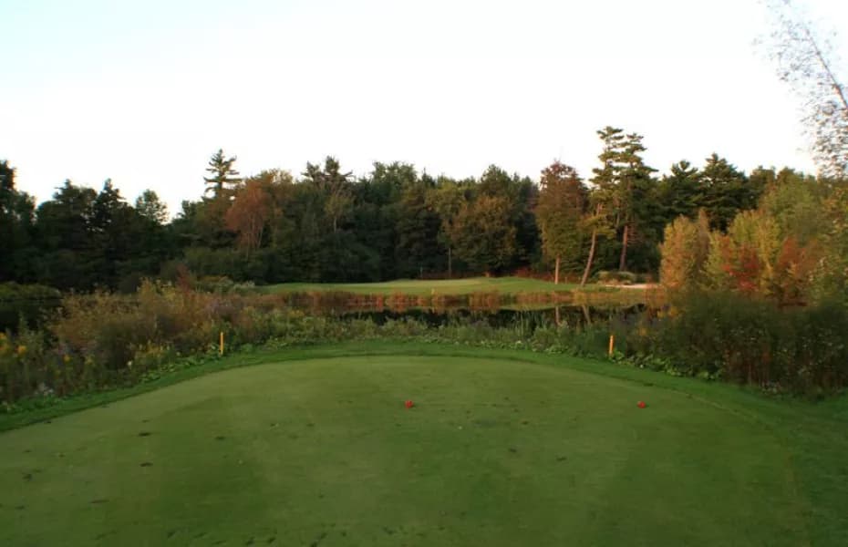 Springfield Golf & Country Club — photo 2